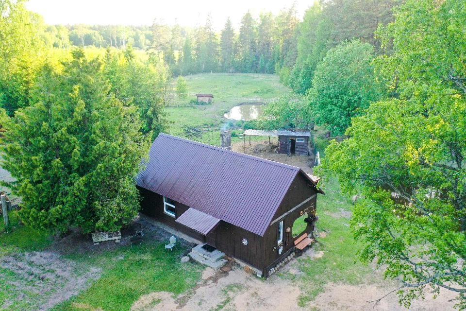 Private Farm Jakuzzi Sauna In The Forest Lodger Talsi