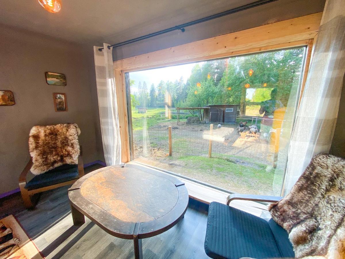 Private Farm Jakuzzi Sauna In The Forest Lodge Talsi