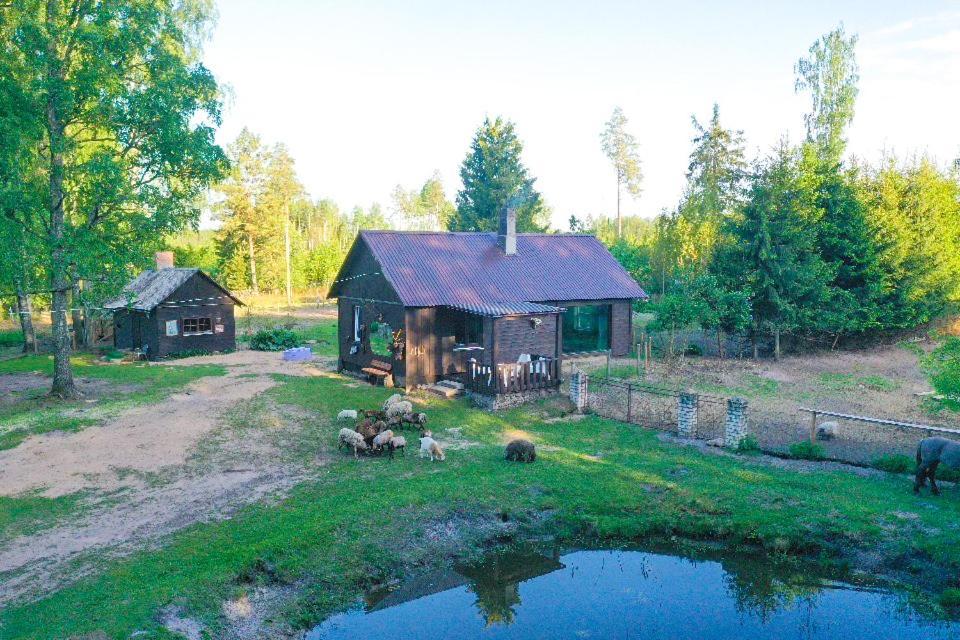 Private Farm Jakuzzi Sauna In The Forest Lodge *