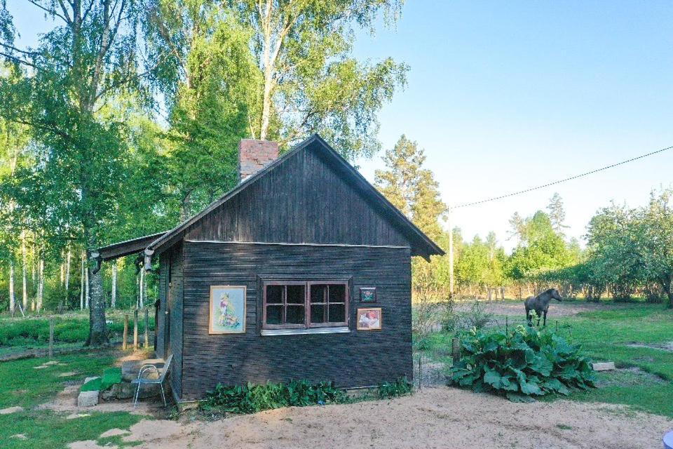 Lodger Private Farm Jakuzzi Sauna In The Forest Talsi