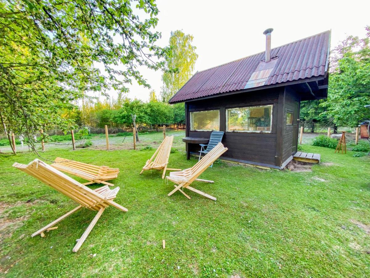 Private Farm Jakuzzi Sauna In The Forest * Talsi