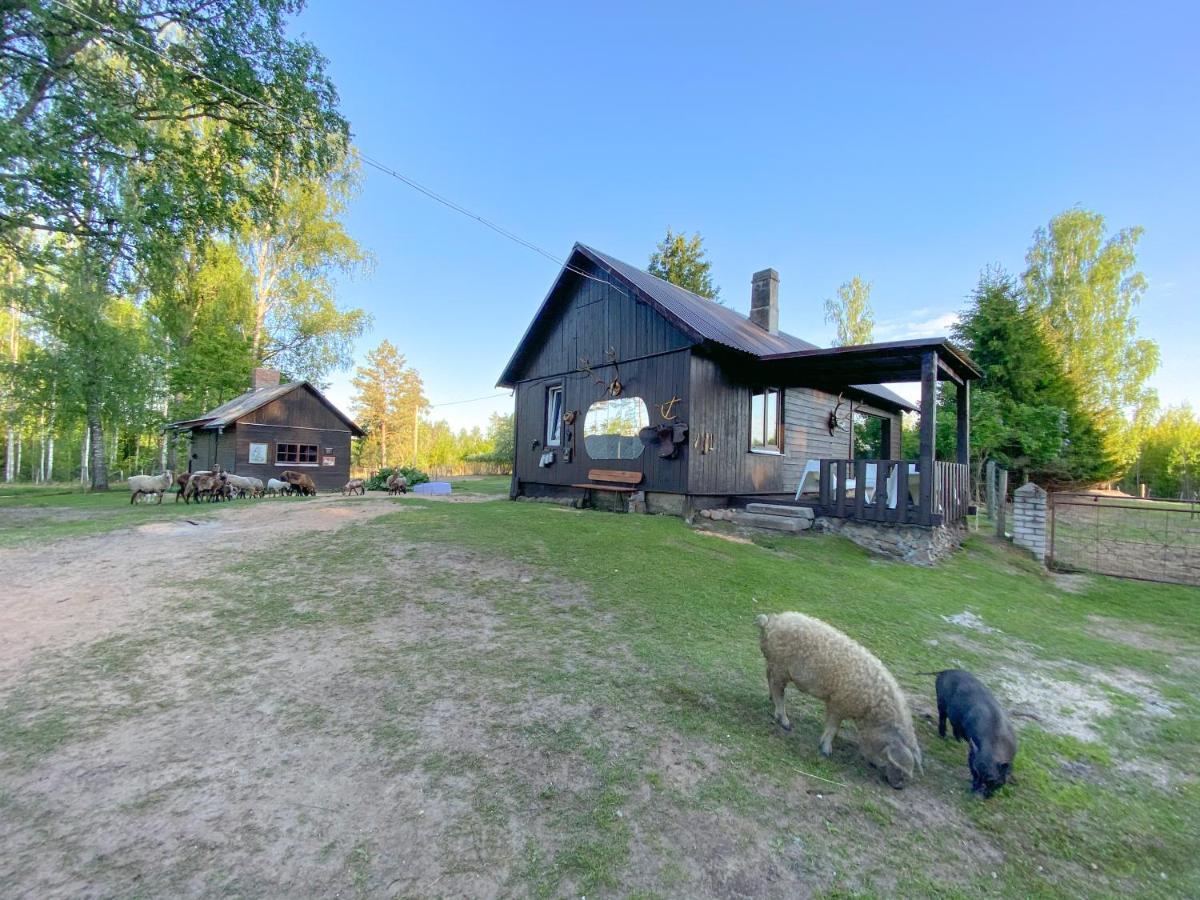 Private Farm Jakuzzi Sauna In The Forest Lodger *