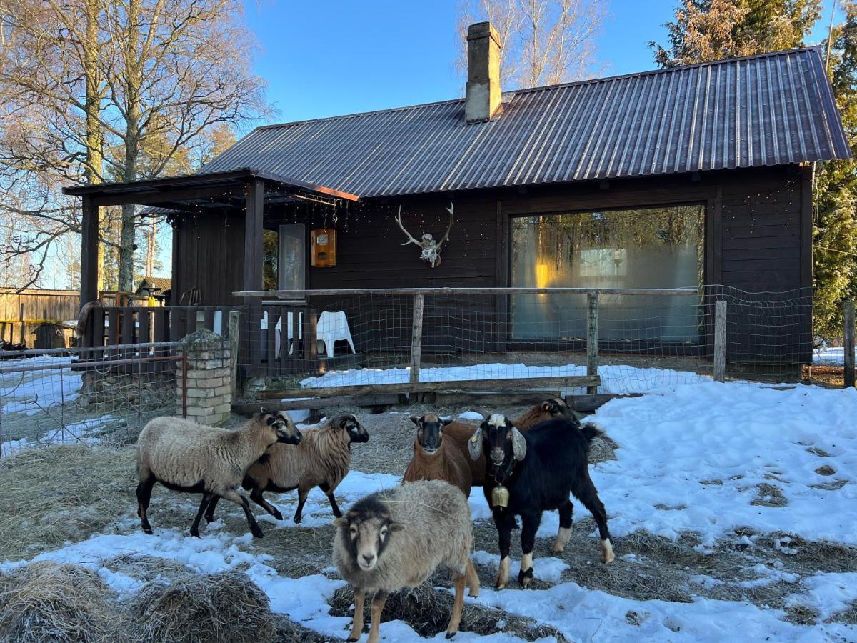 Хижа Private Farm Jakuzzi Sauna In The Forest *